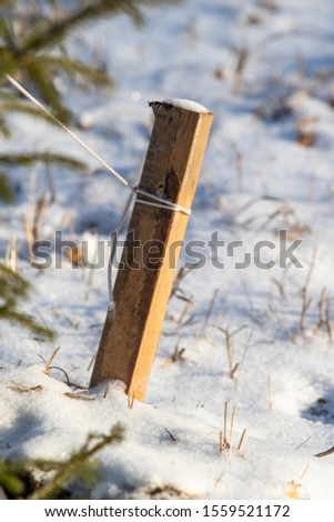 A piece of wood in the ground in winter.