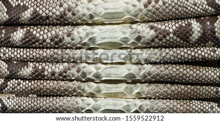 natural rolled phyton leather surface abstract textured background