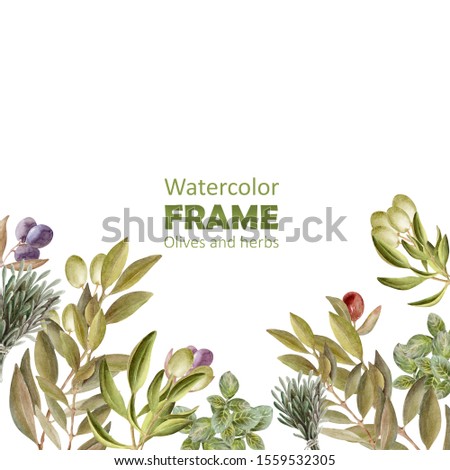 Watercolor drawing Frame with leaves, fruits and olive oil. Oil and aromatic herbs