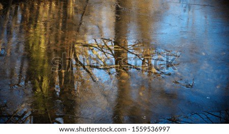 Sky and bare tree reflection in thawed patch at forest stream. Thin frost crust melting in warm winter day. Beautiful nature background. Eco planet concept. Selective focus on the ice at background.