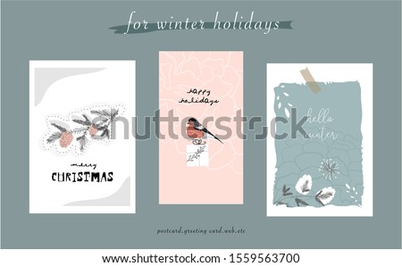 cute winter cards with hand drawn elements of bullfinch bird and pine, coniferous branches for Christmas greetings or new year's eve