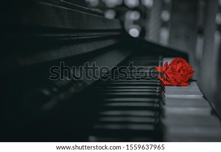 Flower dies to the piano