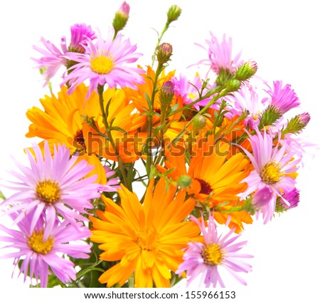 autumnal bouquet of asters and marigolds, isolated