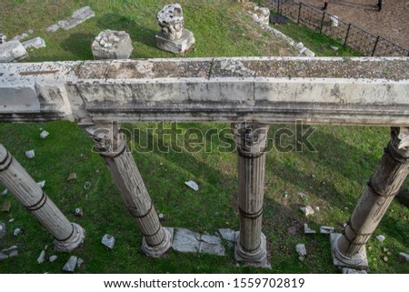 
Roman columns in Rome full of coins