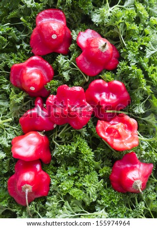 Letter A. Pepper and parsley.