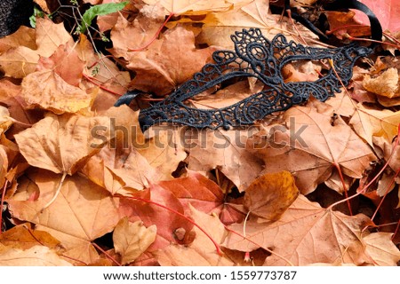 mysterious mask and yellow leaf an the background