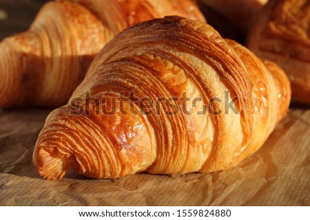 Freshly backed french croissant shiny in the rays of the morning  sun.