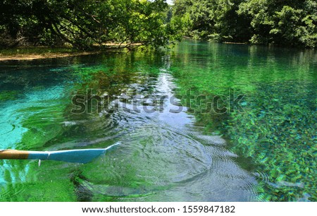 Clear green mountain water in a deep forest