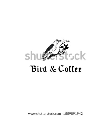 Bird perched on a coffee plant 