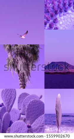 Fashion aesthetic moodboard.Very Peri colors trends. Sea purple lover romantic mood