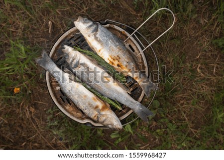grilled rosemary fish close-up. The process of cooking fish with spices. Camping