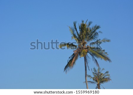abstract photo with blue sky background