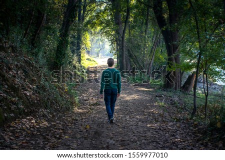 lonely man walking on an enchanted forest