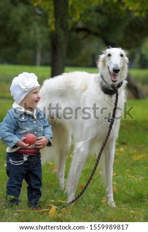 little girl child in a park with a Russian greyhound