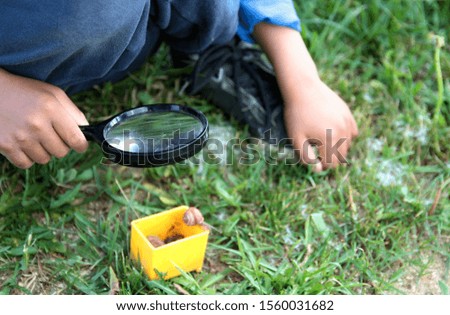 boy with magnifying glass ready to explore the garden stock photo