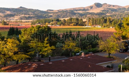 Autumn across the vineyards in Green Valley Solano County California.
 Royalty-Free Stock Photo #1560060314