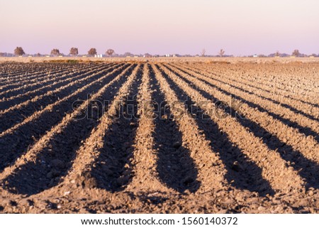 Field plowed and prepared for planting crops; straight furrows visible under the sunset light; Merced County, Central California Royalty-Free Stock Photo #1560140372