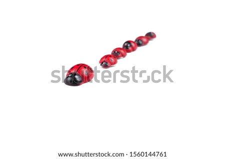 Red ladybug isolated on white background.Kids toy