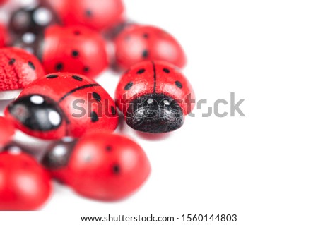 Red ladybug isolated on white background.Kids toy