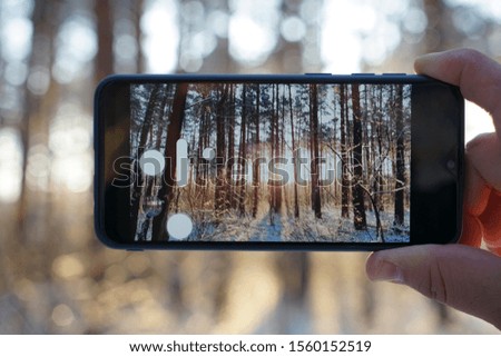 smartphone in male hand in the winter forest. sunny winter day. take photo. Man hand holding mobile smart phone , tablet,cellphone over Blur of snowy forest, Winter landscape 