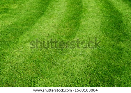 Abstract background of freshly neatly mown green grass lawn
