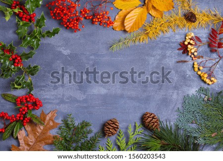 Layout made of Christmas tree branches, red berries and pine cones. Mockup, flat lay. Christmas and New Year winter season concept, copy space