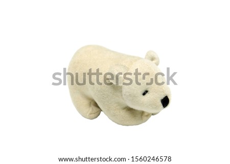 Closeup Picture of Cute Baby Polar Bear Plushy Isolated on White Background