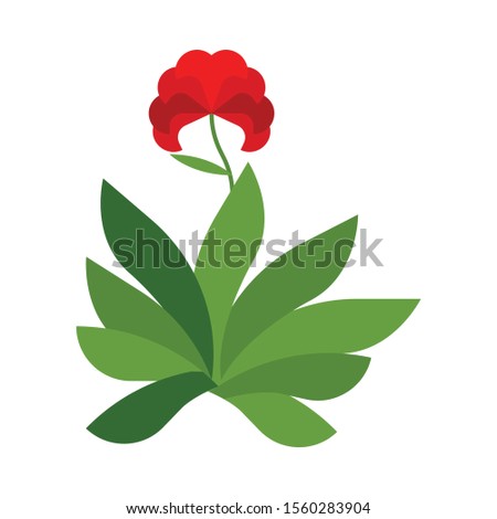 vector illustration of rose with many leaves with flat design style