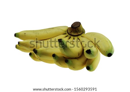 banana cluster isolated backgroud. healthy.