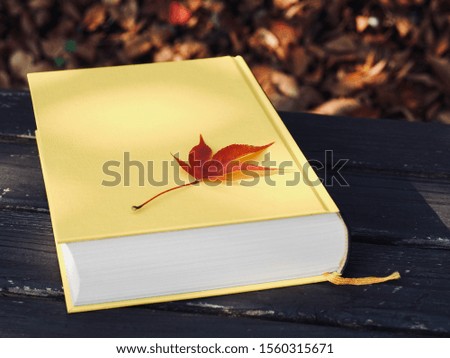 Yellow book and autumn maple leaves
