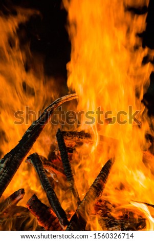 flames from a fire on a black background. picture.