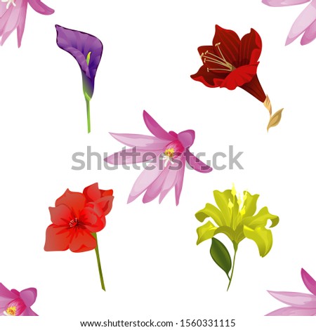 Purple Hatiora. Purple Calla. Purple Amaryllis. Red Amaryllis. Yellow Lilium. Vector illustration. Seamless background pattern. Floral botanical flower. Wild leaf wildflower isolated. Exotic.