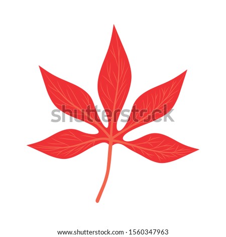 Autumn leaf design, season nature ornament garden decoration and botany theme Vector illustration