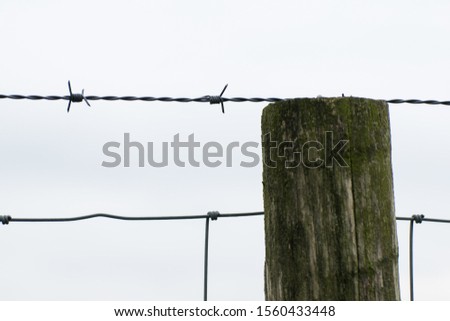 Close up of a barbed wire fence, attached to a wooden pole, used in agriculture to keep animals inside a perimeter. Blurred out of focus sky background, 
