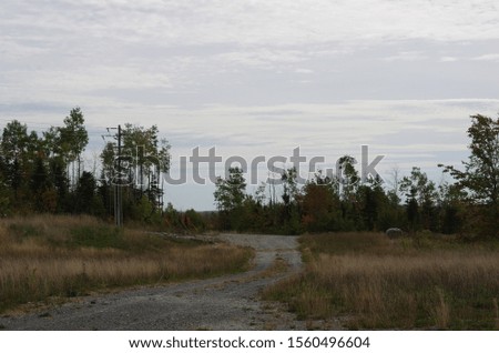 Gravel road through a field