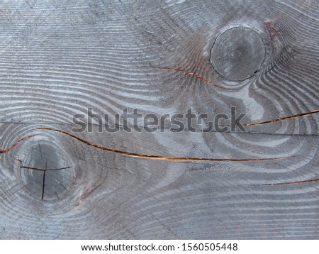   Knotted wood pattern texture. Gray blue wood grunge background. Silver grunge background. Wooden beam with knots.  Copy space.                             