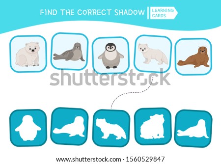 Educational  game for children. Find the right shadow. Kids activity with arctic animals