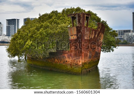 Shipwrecked ss ayrfield with trees, Sydney, NSW, Australia  Royalty-Free Stock Photo #1560601304