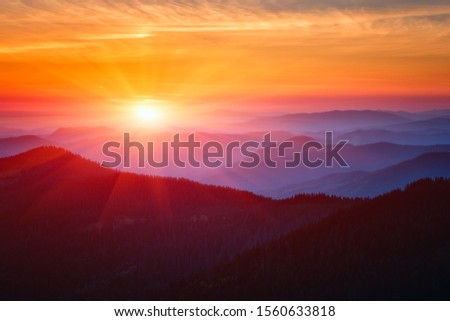 Amazing sunset over mountain range, scenic alpine landscape with dark silhouettes of mountains, fiery yellow sky and sun, outdoor travel background, Carpathians on the border of Ukraine and Romania Royalty-Free Stock Photo #1560633818