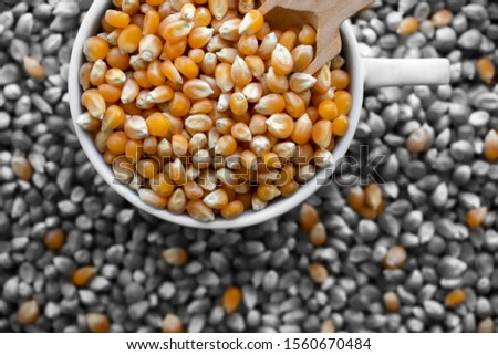 Spilled corn grains.black and white blurred background.