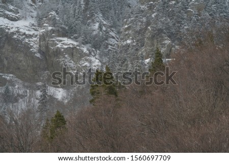 Heavy winter in the Cozia Mountain, part of the Carpathian Mountains.