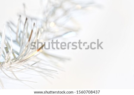 Light form for a good Christmas and happy New Year greeting card. Gentle magic. Free space for an inscription. Shallow depth of field.