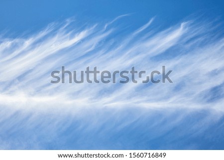 The blue sky and white clouds Royalty-Free Stock Photo #1560716849
