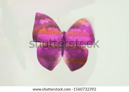 color tropical butterfly. blurred image.