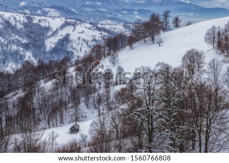 Lovely winter landscape in the mountains. East Carpathian mountains, Ukraine.