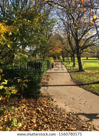 A beautiful picture of a sunny yet cold Autumn at Happy Mount park in Morecambe.