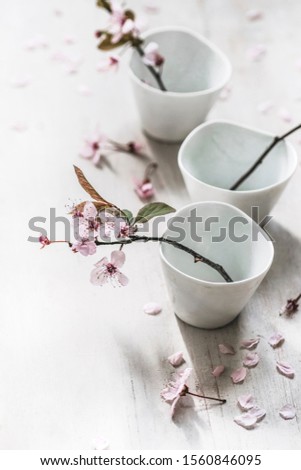Spring holiday background. Tender fragile Spring  blossom flowers on branches,over light white background. Greeting card concept