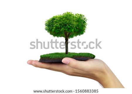 Holding green plant in a hand  isolated on white background.Nature plant a tree Concept.