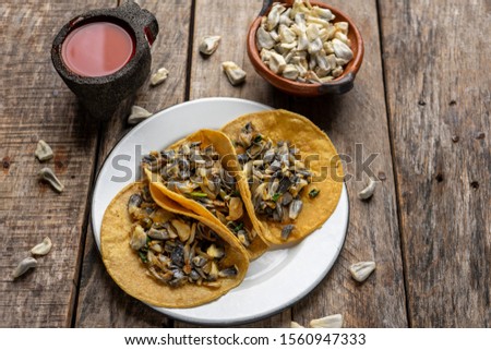 Traditional mexican corn smut taco called "huitlacoche" on wooden background