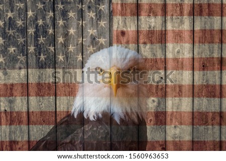 faded vintage american flag and bald eagle painted on the weathered wood  side of a barn